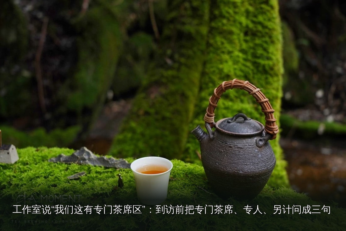 品茶素材｜061｜茶席与茶具